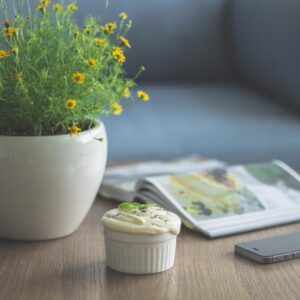 White Ceramic Plant Pot