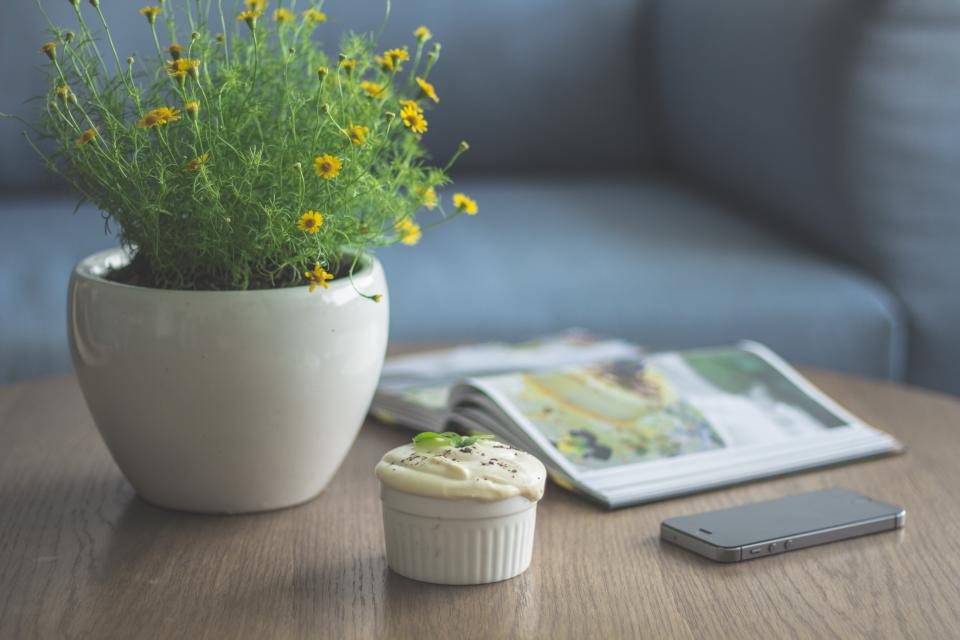 White Ceramic Plant Pot